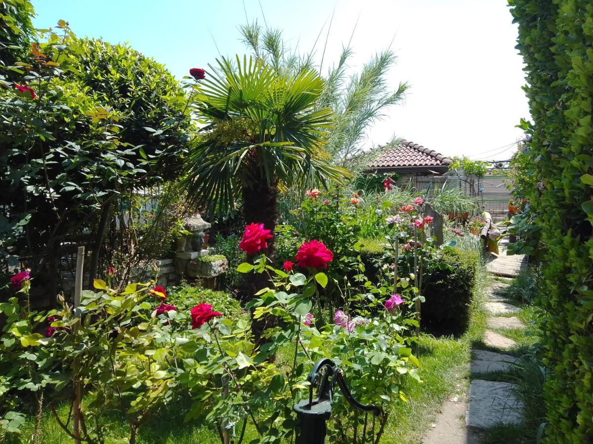 Guest House Amazonia Варна Экстерьер фото